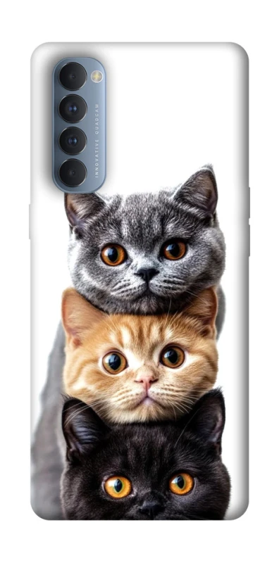 Чохол на Oppo Reno 4 Pro Гарні котики фото 1 з 1