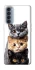 Чохол на Oppo Reno 4 Pro Гарні котики фото 1 з 1