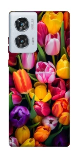 Чохол на Motorola Edge 50 Fusion Flowers v30 фото 1 з 1