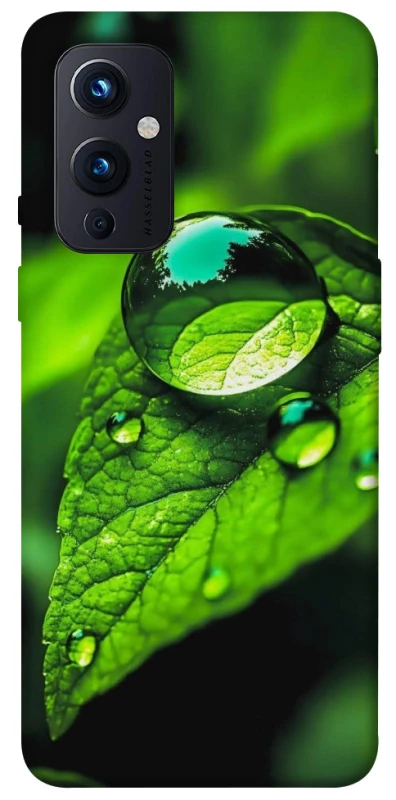 Чехол на OnePlus 9 Flowers v16 фото 1 из 1