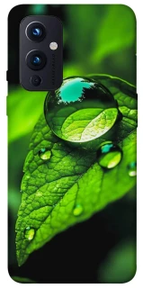 Чехол на OnePlus 9 Flowers v16 фото 1 из 1