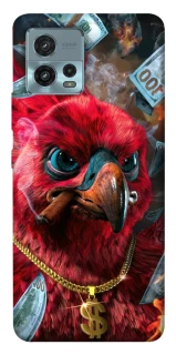 Чохол на Motorola Moto G72 Папуга фото 1 з 1
