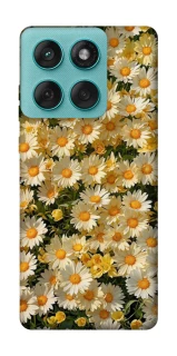 Чохол на Motorola Edge 60 Fusion Camomile фото 1 з 1