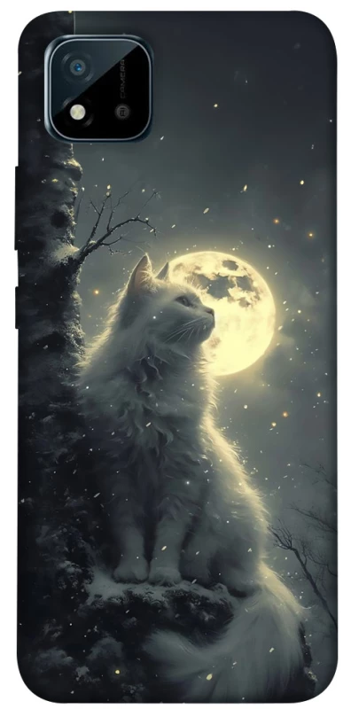 Чехол на Realme C11 (2021) Кот под луной фото 1 из 1