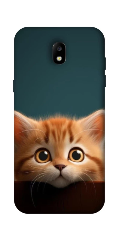 Чохол на Samsung Galaxy J5 (2017) Чохол Кошеня фото 1 з 1