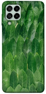 Чохол на Samsung Galaxy M53 5G Листя фото 1 з 1