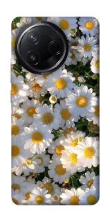 Чехол на Infinix Note 50 Pro Поле ромашек фото 1 из 1