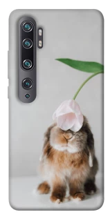 Чохол на Xiaomi Mi Note 10 / Note 10 Pro / Mi CC9 Pro Bunny фото 1 з 1
