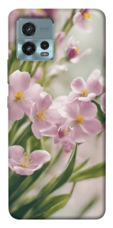 Чехол на Motorola Moto G72 Spring фото 1 из 1