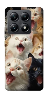 Чохол на Xiaomi 14T Pro Коти фото 1 з 1