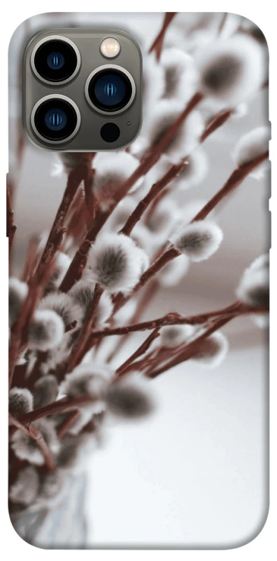 Чехол на Apple iPhone 12 Pro Max (6.7") Magic фото 1 из 1