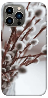 Чехол на Apple iPhone 12 Pro Max (6.7") Magic фото 1 из 1