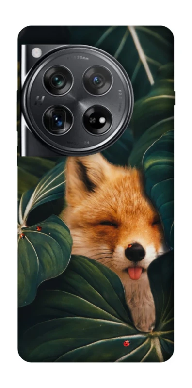 Чехол на OnePlus 12 Fox фото 1 из 1