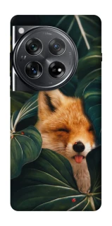 Чехол на OnePlus 12 Fox фото 1 из 1