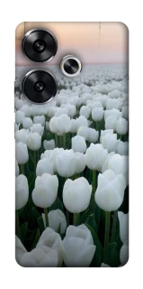 Чехол на Xiaomi Poco F6 Flowers v1 фото 1 Чехол на Xiaomi Poco F6 Flowers v1 фото 1 из 1