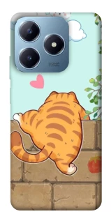 Чохол на Realme C63 Cat the meow фото 1 з 1