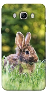 Чехол на Samsung J710F Galaxy J7 (2016) Кролики фото 1 из 1