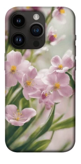 Чехол на Apple iPhone 14 Pro (6.1") Spring фото 1 из 1