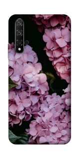 Чохол на Huawei Honor 20 / Nova 5T Рожеві гартензії фото 1 з 1