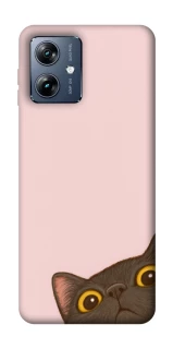 Чохол на Motorola Moto G54 Power Peeping cat фото 1 з 1