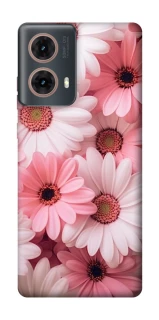 Чохол на Motorola Moto G85 Рожеві Квіти v2 фото 1 з 1