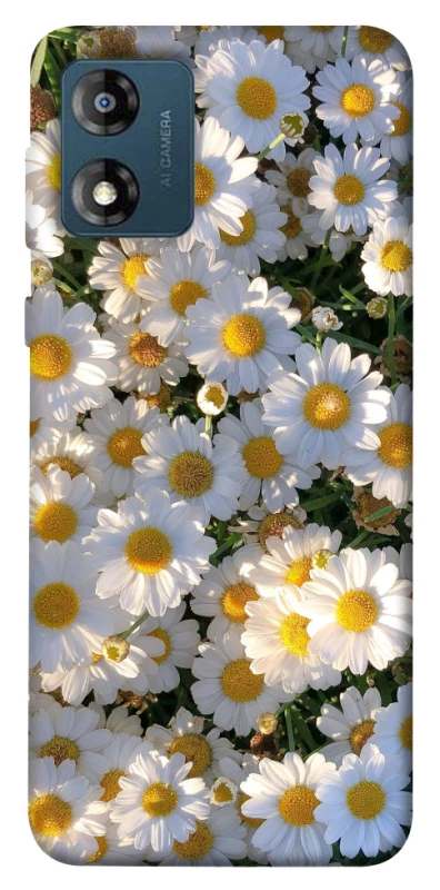 Чехол на Motorola Moto E13 Поле ромашек фото 1 из 1