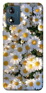 Чохол на Motorola Moto E13 Поле ромашок фото 1 з 1