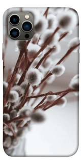 Чехол на Apple iPhone 12 Pro (6.1") Magic фото 1 из 1