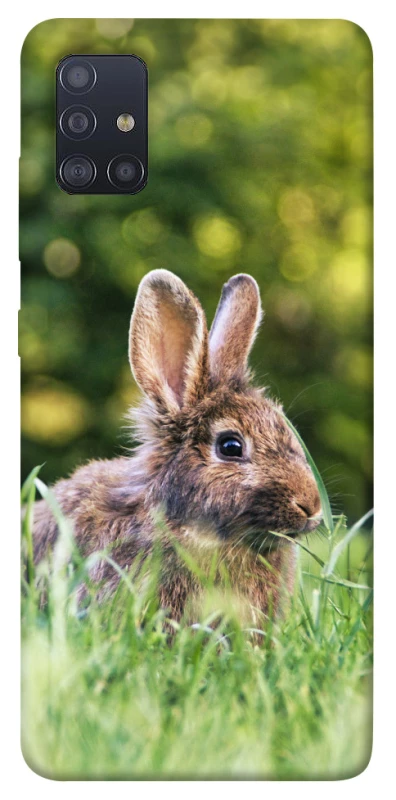 Чехол на Samsung Galaxy M51 Кролики фото 1 из 1