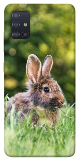 Чехол на Samsung Galaxy M51 Кролики фото 1 из 1