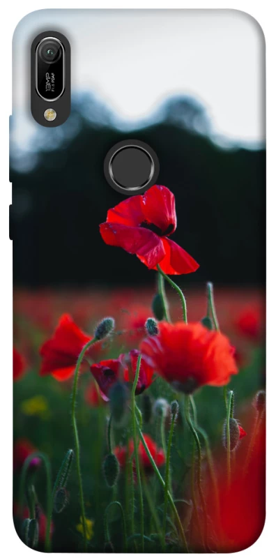 Чехол на Huawei Y6 (2019) Мак фото 1 из 1