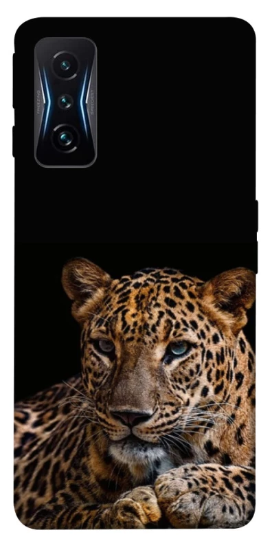 Чехол на Xiaomi Poco F4 GT Leopard v4 фото 1 из 1