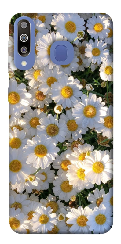 Чохол на Samsung Galaxy M30 Поле ромашок фото 1 з 1