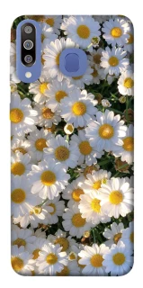 Чохол на Samsung Galaxy M30 Поле ромашок фото 1 з 1