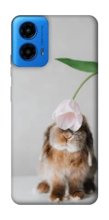 Чохол на Motorola Moto G45 Bunny фото 1 з 1