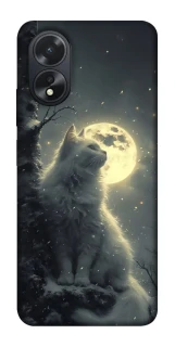 Чохол на Oppo A18 Кіт під місяцем фото 1 з 1