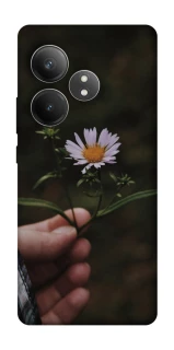 Чехол на Realme GT Neo 6 SE Ромашка v4 фото 1 из 1