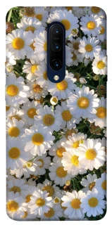 Чохол на OnePlus 7 Pro Поле ромашок фото 1 з 1