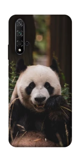 Чехол на Huawei Honor 20 / Nova 5T Панда фото 1 из 1