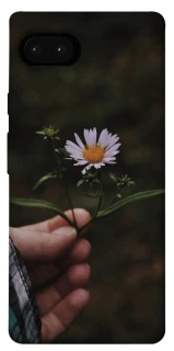 Чохол на Google Pixel 7a Ромашка v4 фото 1 з 1