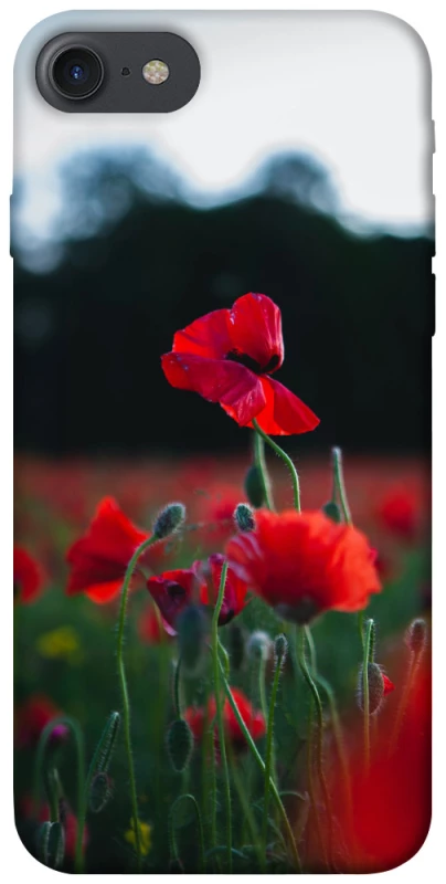 Чехол на Apple iPhone 7 / 8 (4.7") Мак фото 1 из 1