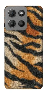 Чехол на Motorola Moto G15 Power Tiger фото 1 из 1