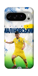 Чехол на Google Pixel 10 Pro Малиновский №8 фото 1 из 1