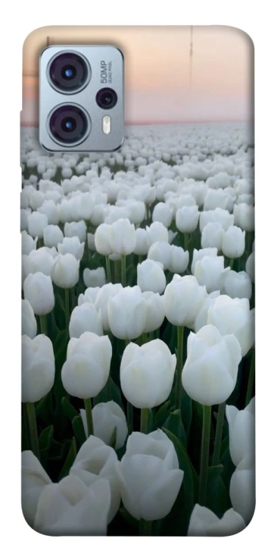 Чохол на Motorola Moto G23 Flowers v1 фото 1 з 1