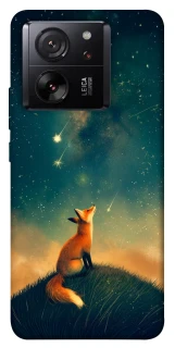 Чохол на Xiaomi 13T Pro Sky fox фото 1 з 1