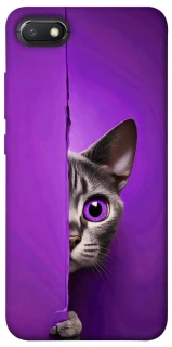 Чехол на Xiaomi Redmi 6A Кот-подглядыватель фото 1 из 1