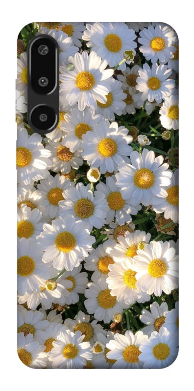 Чехол на Samsung Galaxy F16 Поле ромашек фото 1 из 1