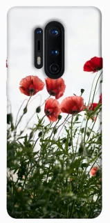 Чохол на OnePlus 8 Pro Поле маків фото 1 з 1
