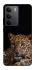 Чехол на Realme C75 Leopard v4 фото 1 из 1