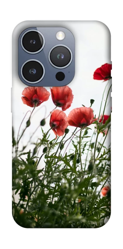 Чехол на Apple iPhone 16 Pro Поле маков фото 1 из 1